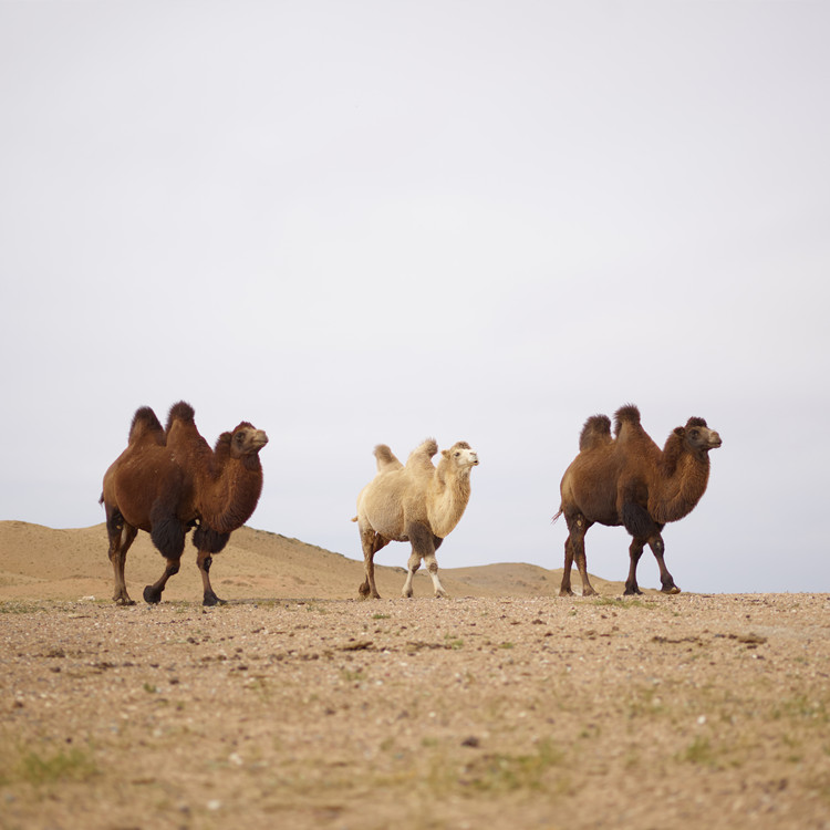 �̷۴��ӹ��ܴ�ֱ�� �̷۴��ӹ��۸�ʵ��