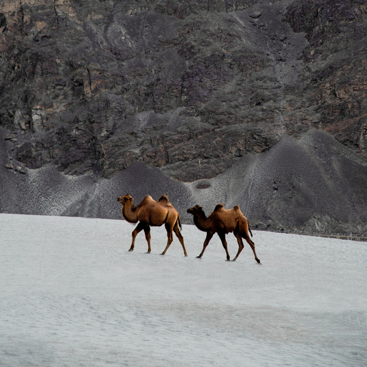 �����̷�oem�����۸� �����̷����ƴ�������