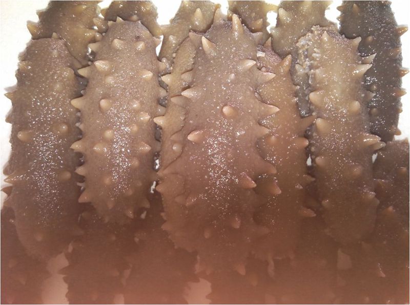 ����  �̲�  ������Ʒ ����˯��