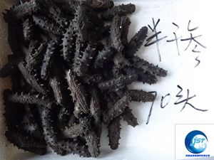 ��ɺ��� ������Ʒ ������